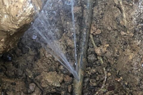 Searching for a plumber near me due to a broken water pipe.