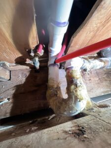 486668373_1035643241951905_3875876734786964991_n