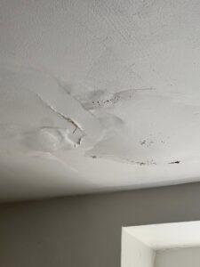 546689253_1153330380183190_7528164870646006361_n